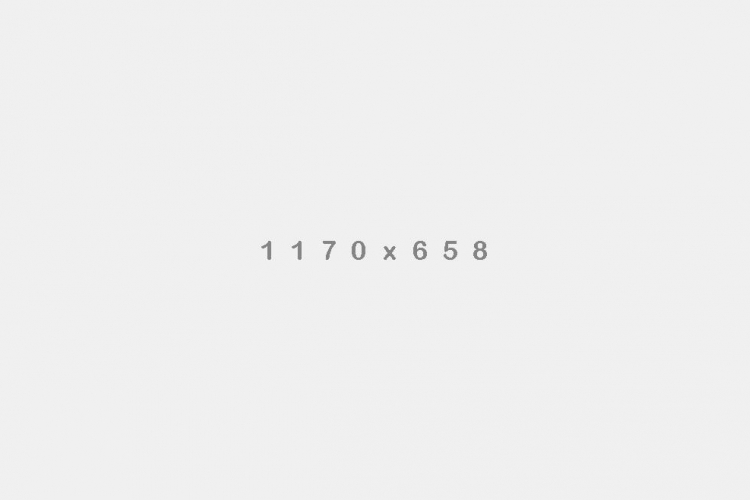 A Labrador puppy sits in the sunshine